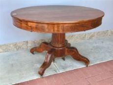 Tronco fossile