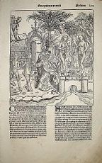 La cacciata dall'Eden - Hartmann Schedel 1493